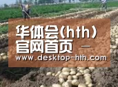 种植基地七(图1)