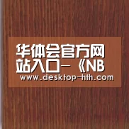 华体会官方网站入口-《NBA 2K19》辉煌生涯模式带来全新故事线(图4) 华体会下载