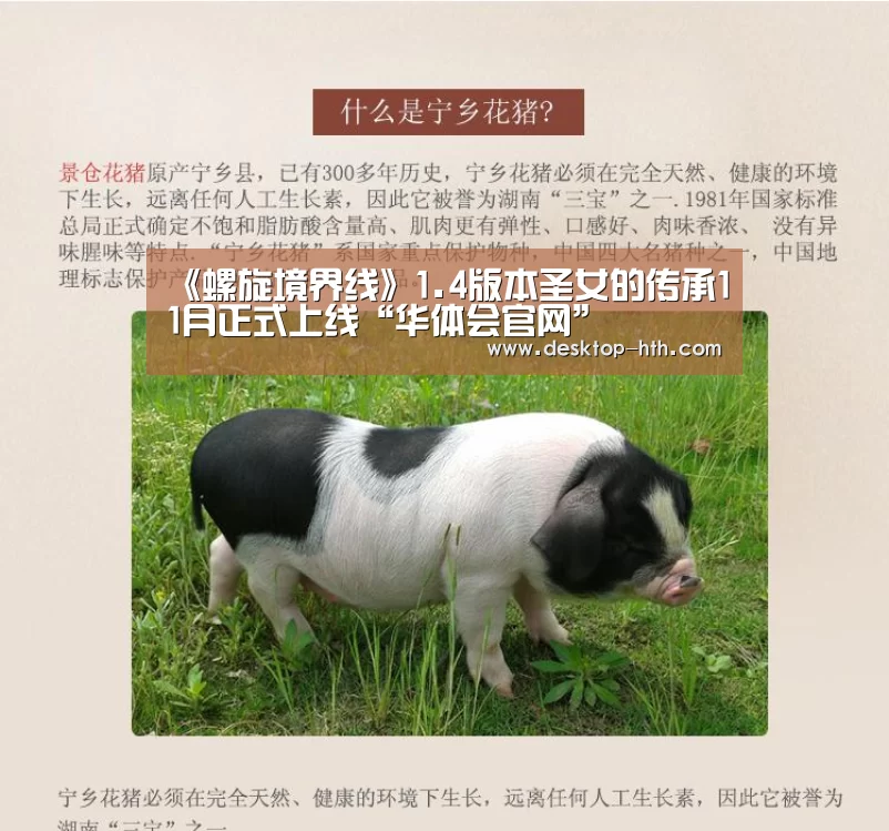 《螺旋境界线》1.4版本圣女的传承11月正式上线“华体会官网”(图4) 华体会下载
