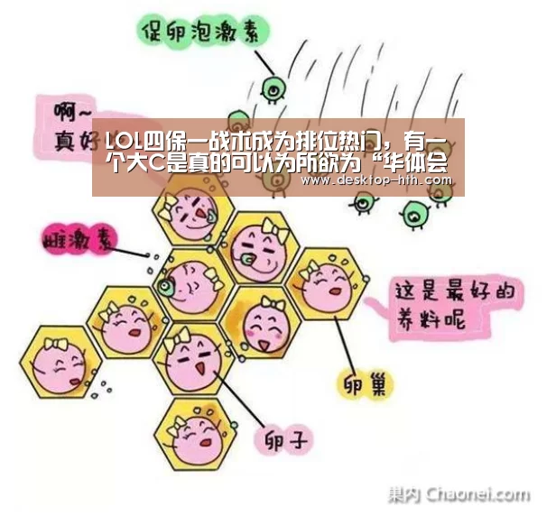 华体会下载